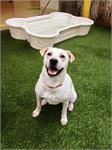 daycare pic 19 - charmin